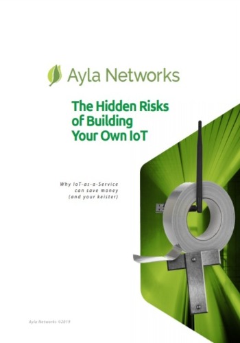 The Hidden Risks of Building Your Own IoT 