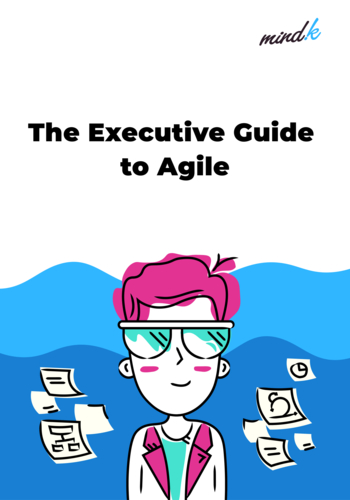 Run Your Software Project like a Pro (The decision maker's guide to Agile product development)
