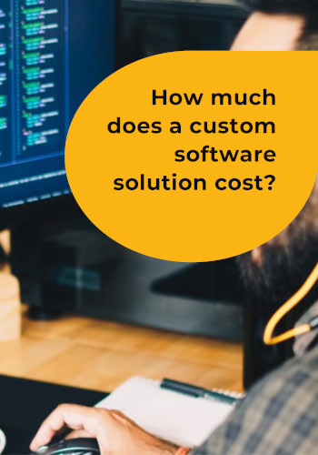 How much does a custom software solution cost?