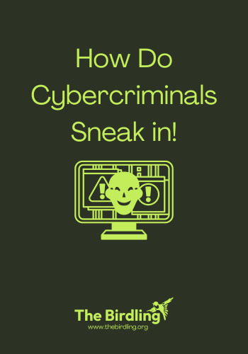 How Do Cybercriminals Sneak in