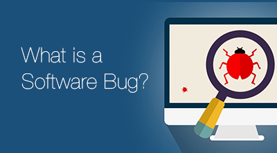 What is a Software Bug?