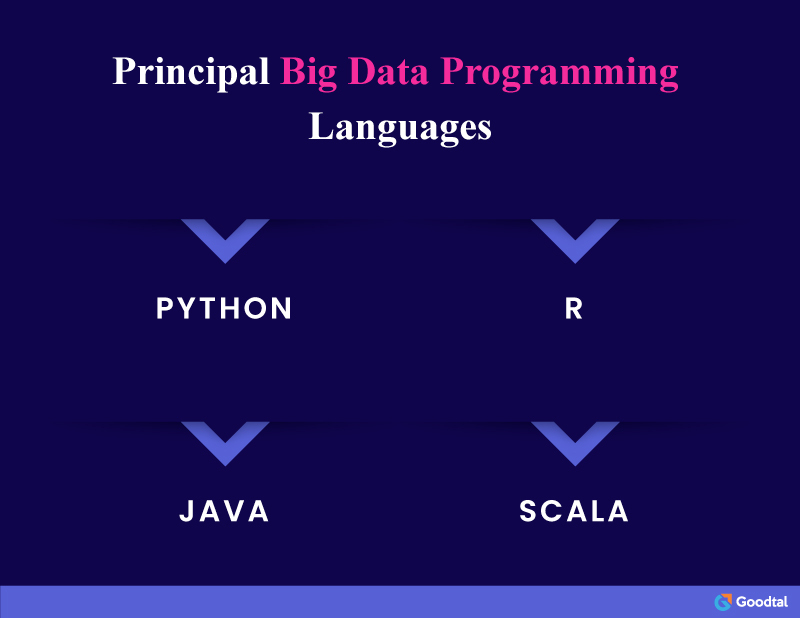 Infographic on Principal Big Data Programming Languages