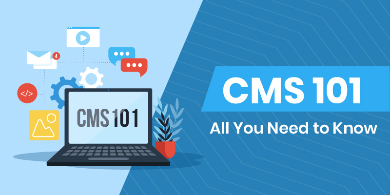 CMS 101: All You Need to Know
