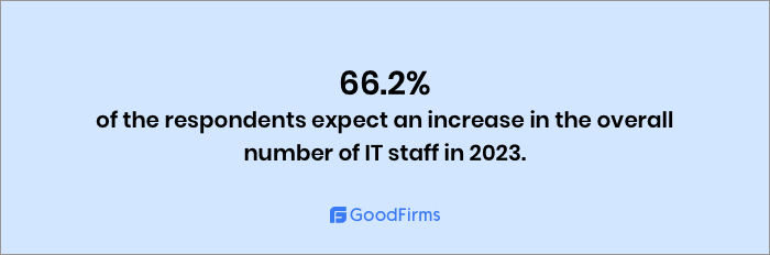 Increase in IT staff in 2023