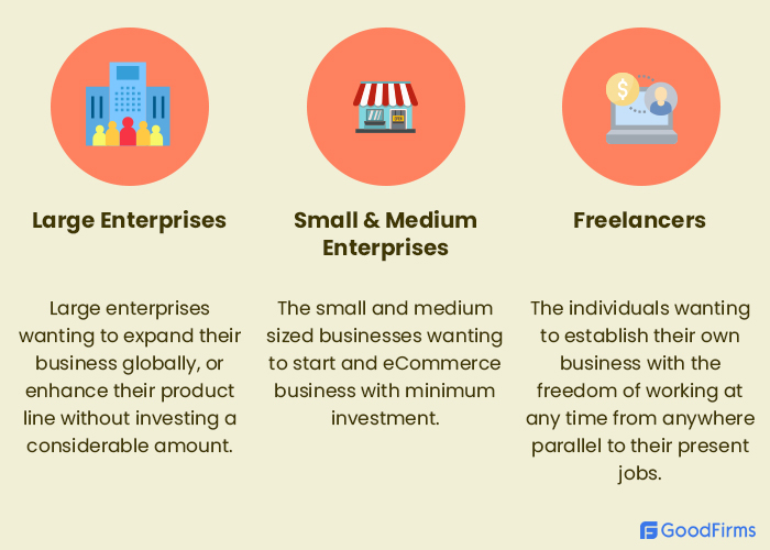 Who Should Start Dropshipping Business?