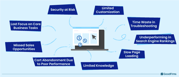 Why to Hire Shopify Expert