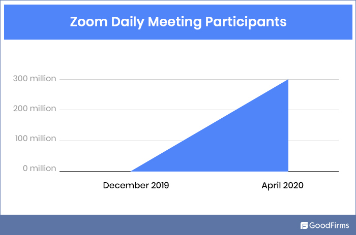 Zoom Daily Meeting Participants