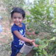 Jeyaseelan Saroja