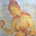 Oshini Amarasiri