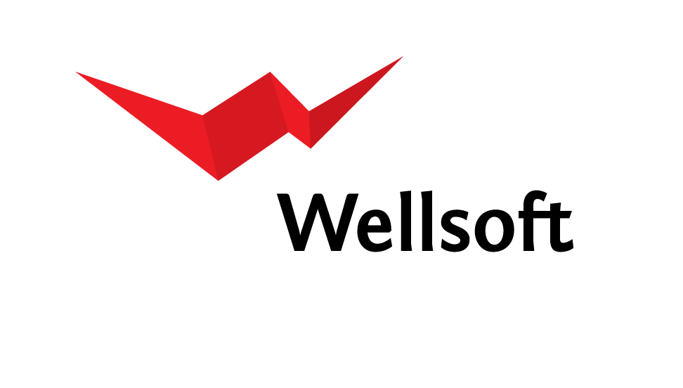 Wellsoft, ltd.