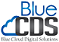 Blue Cloud Digital Solutions