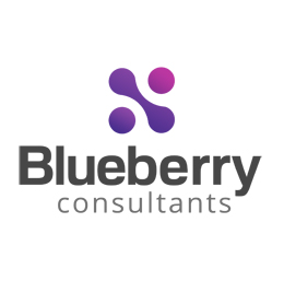 Blueberry Consultants Ltd