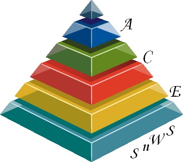 ACE Software n Web Solutions