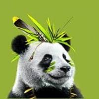 Bambuk Design Studio