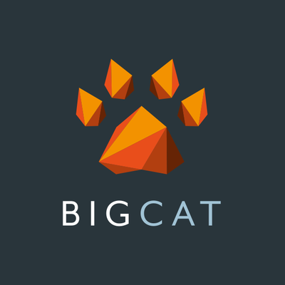 Big Cat Agency