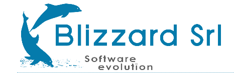 Blizzard Srl