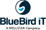 BlueBird iT Solutions Inc