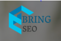 Bring seo