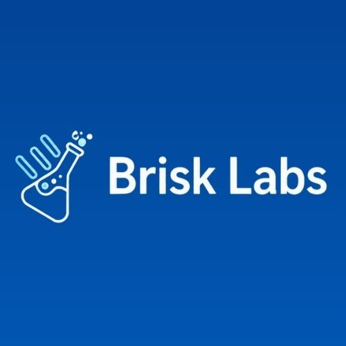 brisklabs.dev