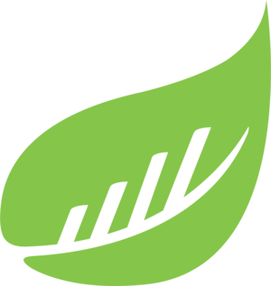BusySeed