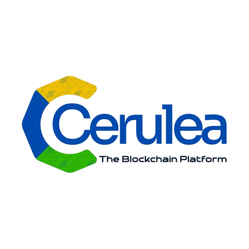 CAERULEAN BYTECHAINS PRIVATE LIMITED