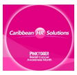 Caribbean HR Solutions