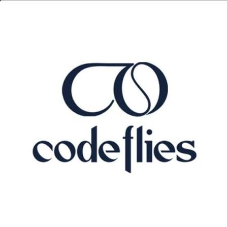 Codeflies Technologies Pvt. Ltd.