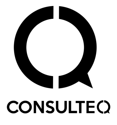 CONSULTEQ INFORMATION TECHNOLOGY