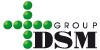 DSM Group