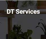 DT Services