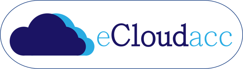 eCloudacc Support Services