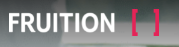 Fruition IT