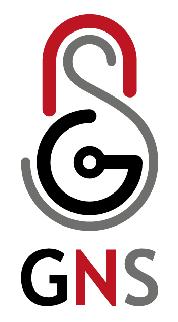 GulfNet Solutions Comapny Limited 