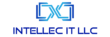 Intellec IT LLC