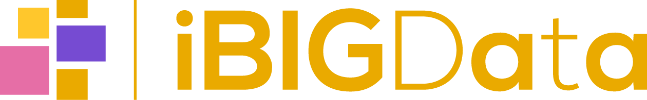 IOT Big Data IT services LLC