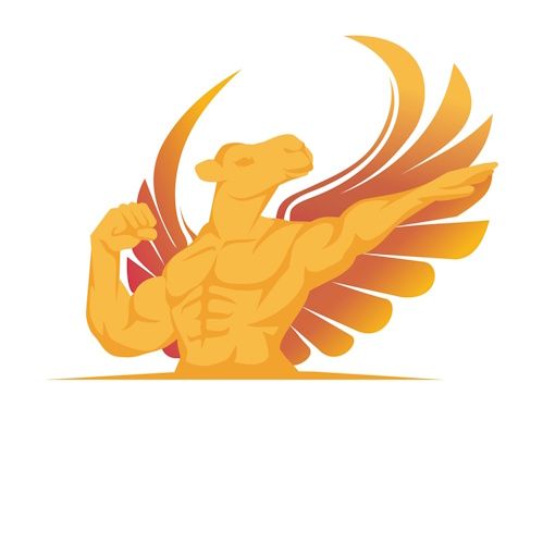 Kamel Media Limited