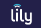 LILY COMMUNICATIONS LTD