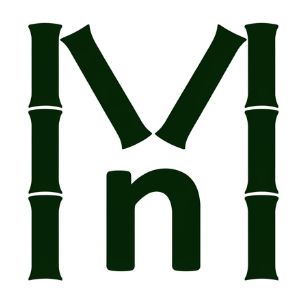 Macronexus Multiservices Limited