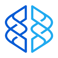 Magnus Minds IT Solution