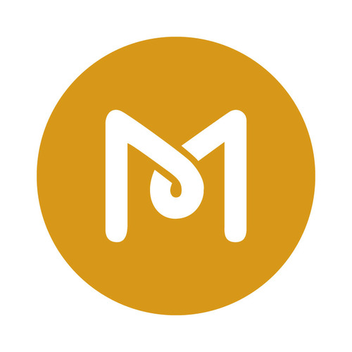 Ms Web Designer