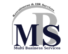 Multi Business Services