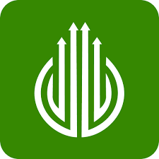 NBNM Global