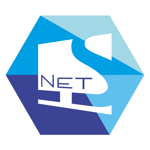 NetLS LLC