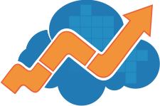 Network Economic Service Ventures