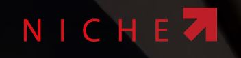 Niche Marketing Management 