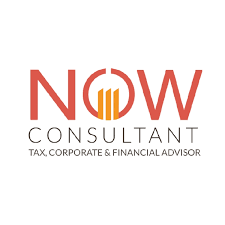 Now Expert Tax Consultants