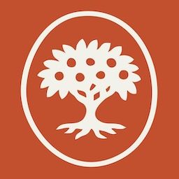 Origine Strategic Studio