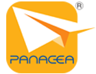 Panacea IT Infrastructure LLC