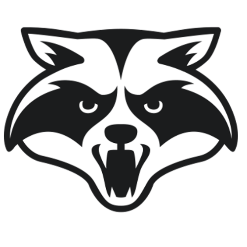 Raccoon Soft