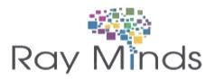 Ray Minds Conslting Services Private Limited